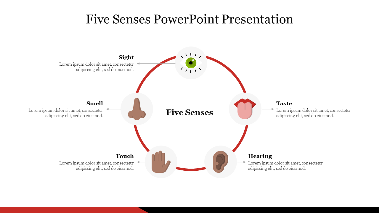 Effective Five Senses PowerPoint Presentation Slide 